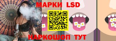 бошки Гатчина
