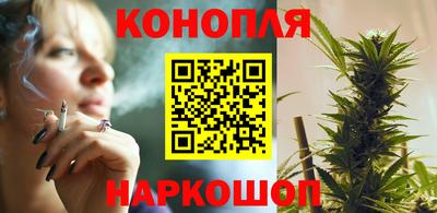 бошки Гатчина